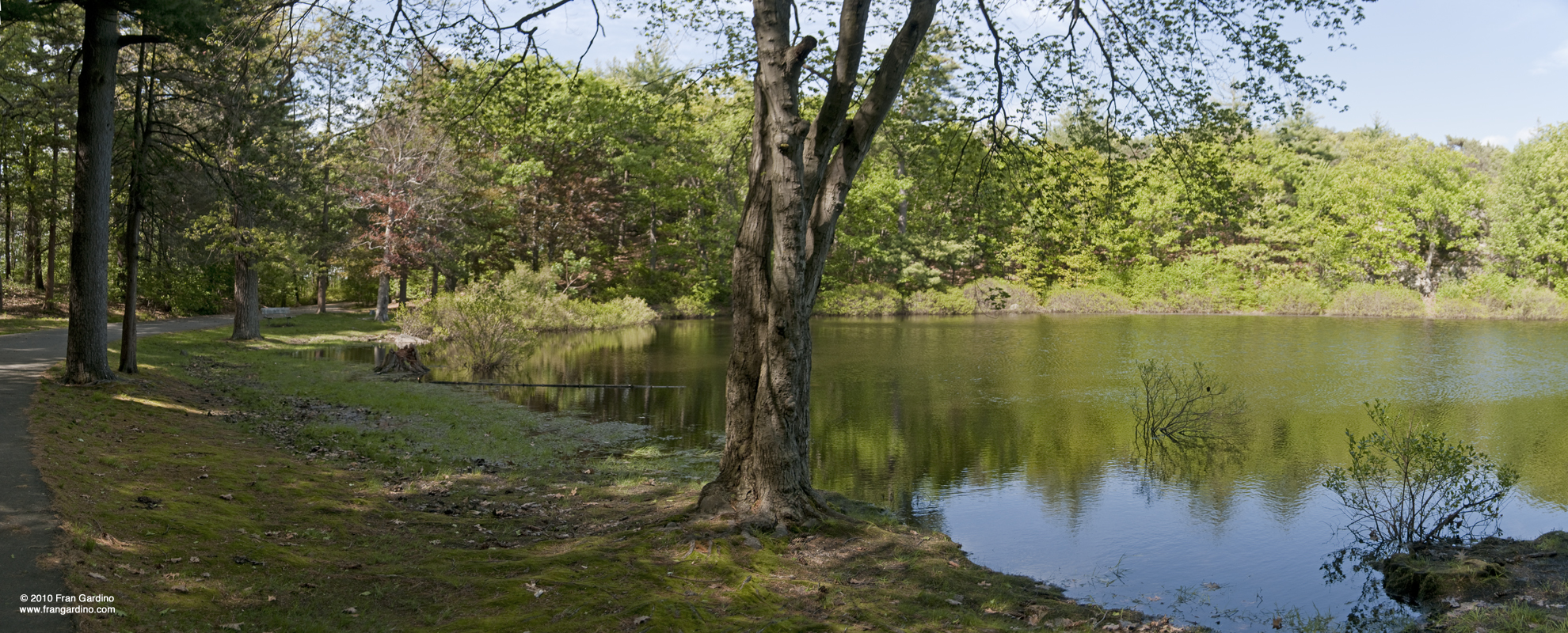 Pine Banks Pond #4