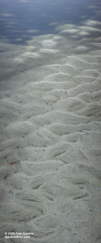 Murky Sand Panorama