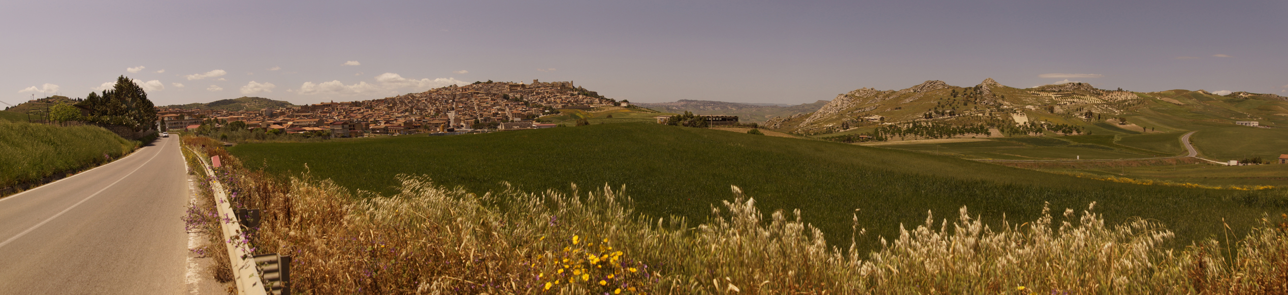 Pietraperzia Fields #1