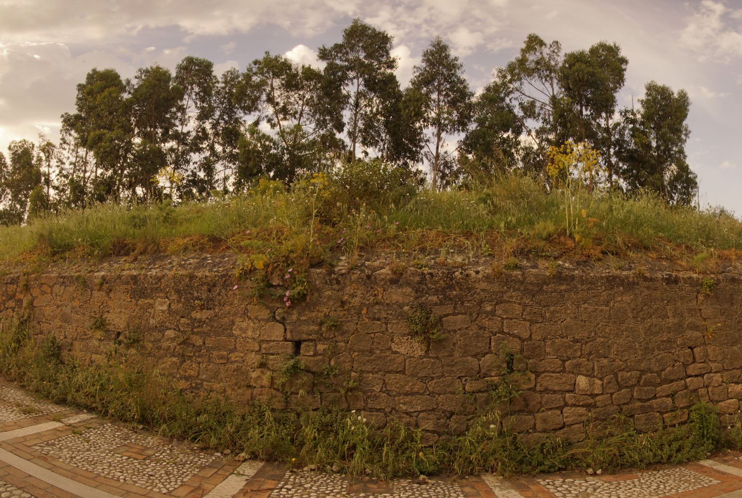 Sciacca Wall