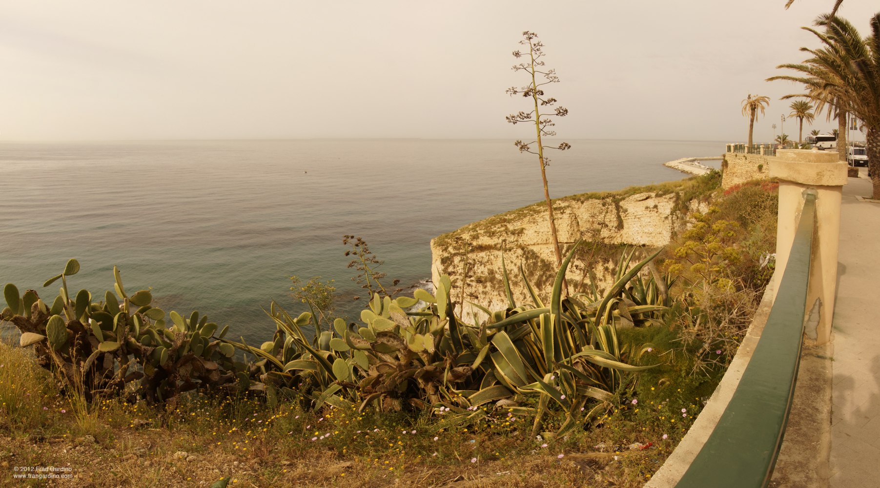 Sciacca View